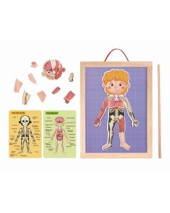 Tooky toy upoznaj ljudsko telo
