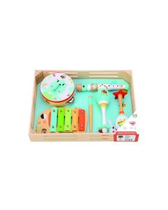 Tooky toy muzički instrument tf567