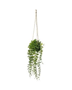 ATMOSPHERA Dekorativna zidna biljka 18x62cm - 164285