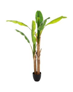 ATMOSPHERA Dekorativna biljka Banana drvo - 167300