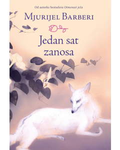 Jedan sat zanosa - 9788630003561