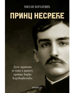 Princ nesreće - 9788651522898
