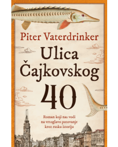 Ulica Čajkovskog 40 - 9788652155279