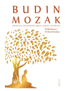 Budin mozak - 9788682394372