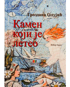 Kamen koji je leteo - 9788662493125