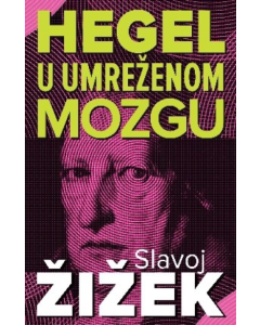 Hegel u umreženom mozgu