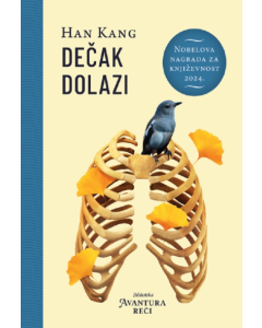 Dečak dolazi - 9788630041037