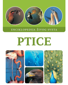 Ptice - 9788660236106