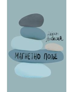 Magnetno polje - 9788661920899