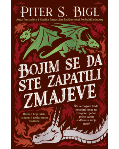 Bojim se da ste zapatili zmajeve - 9788652158652
