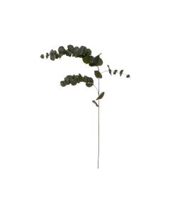 ATMOSPHERA Eukaliptus grana 12x12x118cm poliester/pe/metal zelena - 185478