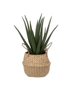 ATMOSPHERA Dekorativna biljka Aloe natural h37cm - 189119-1