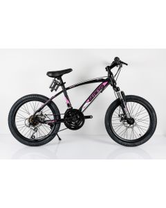 WINNER BIKE BIC.20