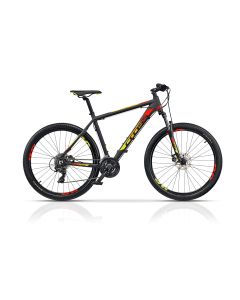 CROSS 29