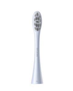 OCLEAN Zamenska glava za el.četkicu srebrna 554038 P1C9 - 38612