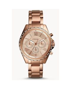 FOSSIL BQ 3377 - 213377