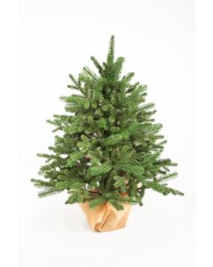 GRIPS Novogodišnja jelka Victoria 3D 100 cm,  23319