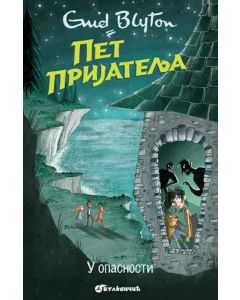 Pet prijatelja u opasnosti 9 - 24008