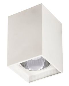 RABALUX Ugradna rasveta Maddox mat bela, E27 60W - 2486