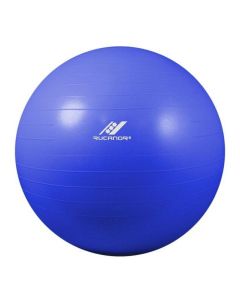 RUCANOR Lopta za pilates Gym ball 90 U