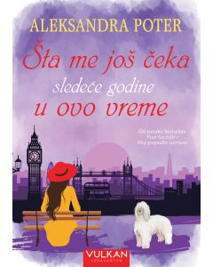 Šta me još čeka sledeće godine u ovo vreme - 29273