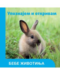 Upoznajem i otkrivam: Bebe životinja - 29500