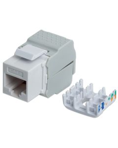 INTELLINET Modul RJ45 167062 Cat6/tool-less/568B 2-1/beli