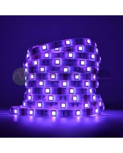 FORMA LED traka 12V LTB5050-30-RGB IP44