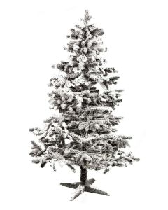 Novogodišnja jelka Kraljevska 150 cm