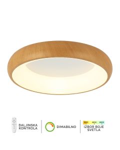 FORMA LED plaf. lampa 58W 3000K - 6400K F2081-58C WD