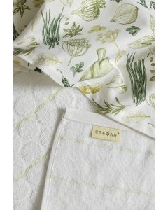 STEFAN Set kuhinjska krpa 40x60cm i peškir 50x70cm Začin