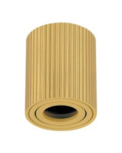 FORMA Plafonska lampa 1xGU10 AFS118-1C SG