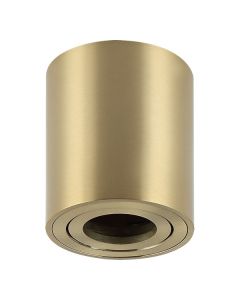 FORMA Plafonska lampa 1xGU10 AFS114-1C SG