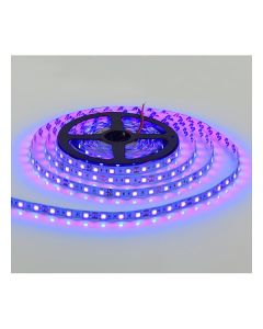 FORMA LED traka 12V LTB5050-60-B IP20 BL