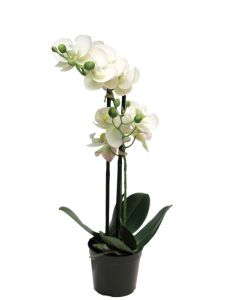 DEKOR DOM Cvet u saksiji ORCHID 50cm 51344-0 - White - NNT