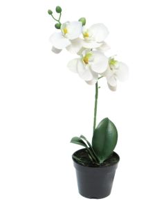 DEKOR DOM Cvet u saksiji ORCHID 35cm 51345-0 - White - NNT