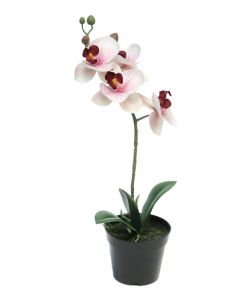 DEKOR DOM Cvet u saksiji ORCHID 35cm 51345-7 - Pink - NNT
