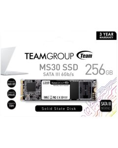 TEAM GROUP TeamGroup M.2 2280 256GB MS30 NGFF SSD SATA3 500/400MB/s TM8PS7256G0C101 - 43733