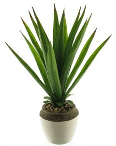 DEKOR DOM Cvet u saksiji ALOE 46cm 51929-1 - Green - NNT