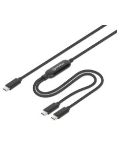 MANHATTAN Dual USB-C Charging Cable 100 W, 2 m 355810