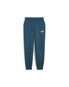 PUMA Puma donji deo trenerke trenerke ess sweatpants fl cl (s) W - 586841-77L