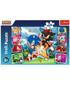 TREFL Puzzle Upoznajte Sonika - 100 delova - 103334-T16465