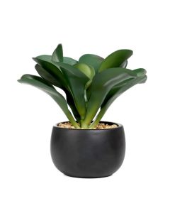 DEKOR DOM Cvet u saksiji 20cm Semela - 041953-1