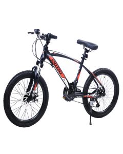 WINNER BIKE BIC.20