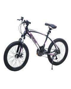 WINNER BIKE BIC.20