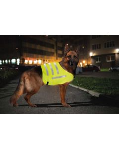 LAMPA ACCESSORIES Fluo prsluk reflektujući za pse veličina 