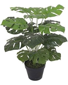 DEKOR DOM Cvet u saksiji - MONSTERA ZD-BYBG25-PGJ5 - 32cm - N55