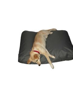 SPOTT PET Dušek 100x70 cm,siva