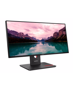 Monitor LENOVO ThinkVision T24-40 23.8