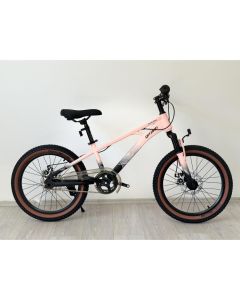 WINNER BIKE BIC.20